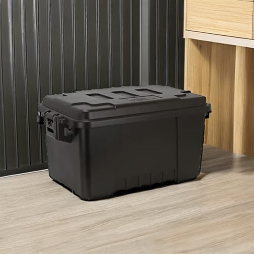 Plano Storage Trunks