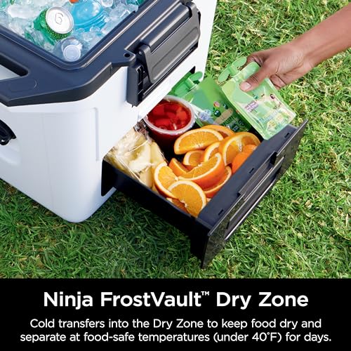 30-Quart Hard Cooler with Integrated Dry Storage Drawer