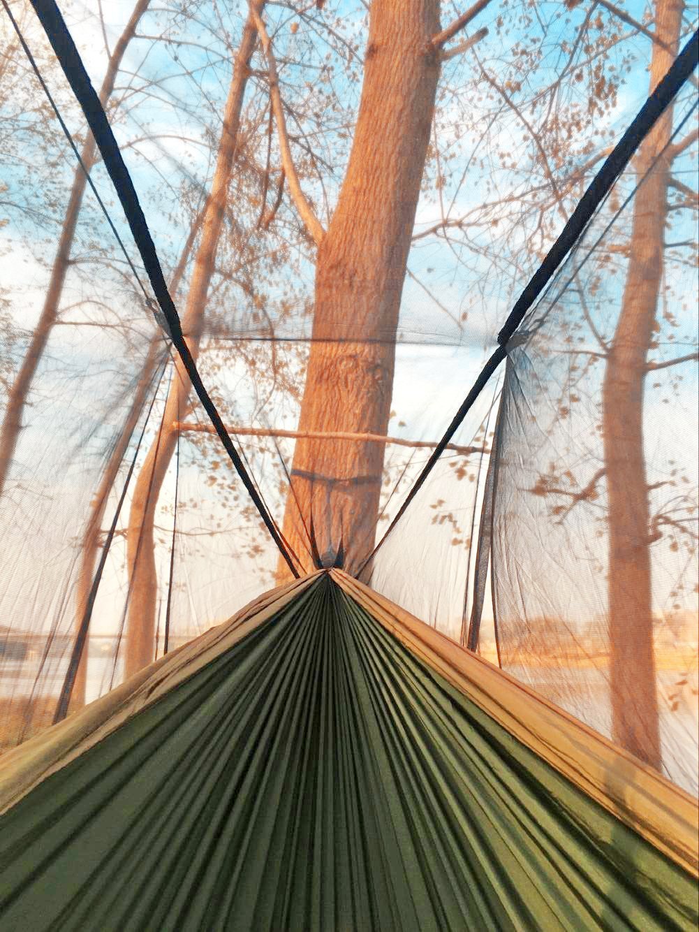 Two-Person Camping Hammock with Net and Tree Straps