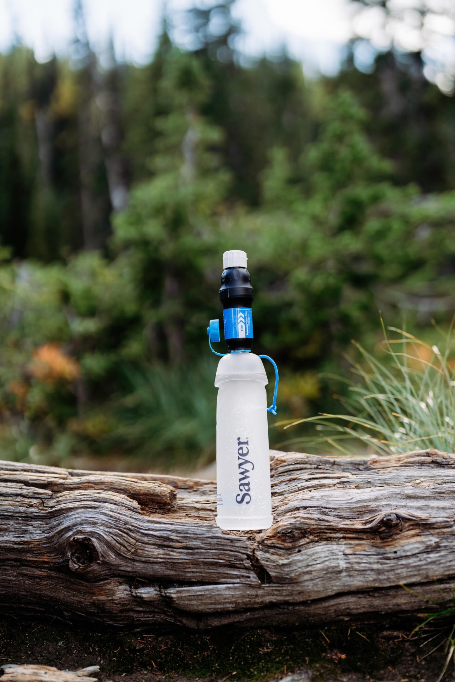 Sawyer Squeeze Water Filtration System